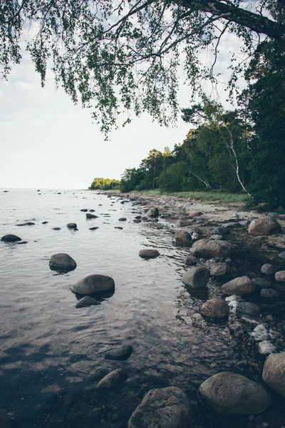 Playa rocosa en el mar Báltico. Aspecto de película granulada retro . —  Fotos de Stock