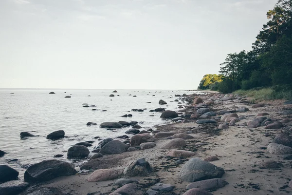 Скелястий пляж в Балтійському морі. Ретро-сіра плівка дивитися . — стокове фото