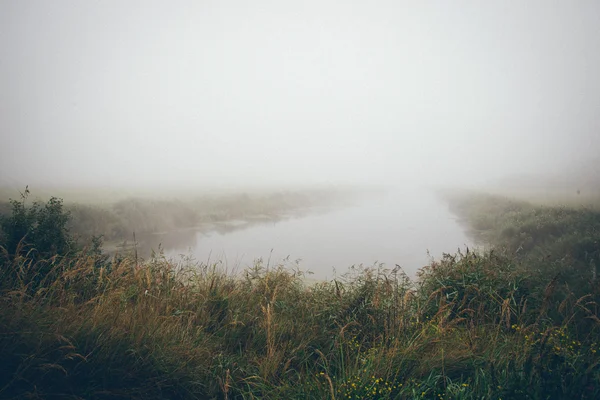 Vista al pantano con lagos y sendero. Aspecto de película granulada retro . —  Fotos de Stock