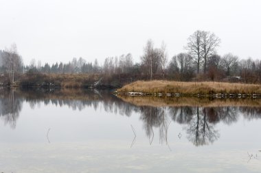 soğuk kış manzara donmuş nehir ile