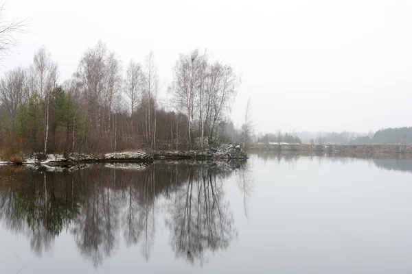 Freddo paesaggio invernale con fiume ghiacciato — Foto Stock