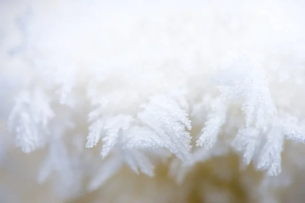 Flocons de neige et cristaux de glace gros plan — Photo