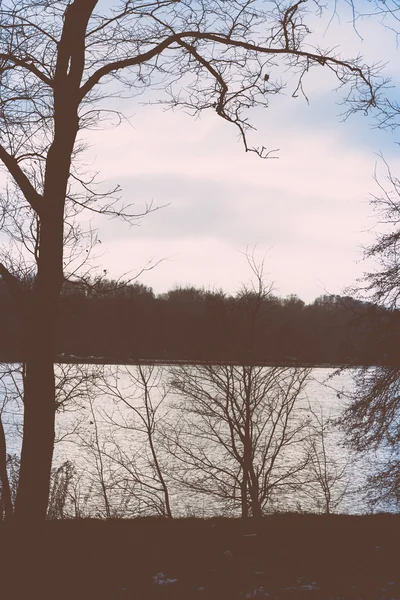 Eisige ländliche Landschaft mit Bäumen und Land. Retro Vintage Polaroid — Stockfoto