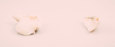 deniz kabuğu üzerinde beyaz izole parçası. Vintage