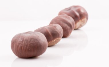 kestane çekirdek üzerinde beyaz izole