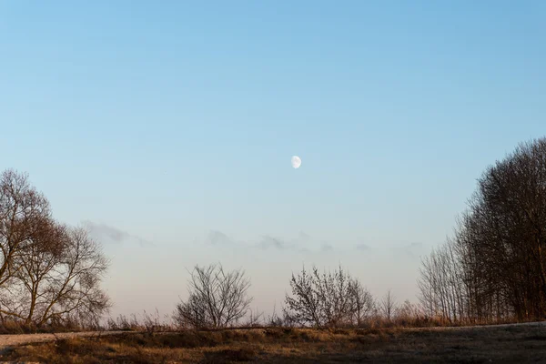 Χειμώνας Ηλιοβασίλεμα με μονοπάτια φεγγάρι και αεροπλάνο στον ουρανό — Φωτογραφία Αρχείου