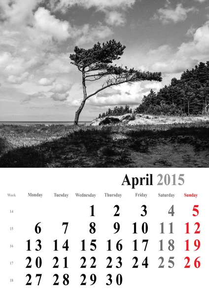 Kalendář 2015 duben. monochromatický stromy vydání. Mezinárodní pro — Stock fotografie