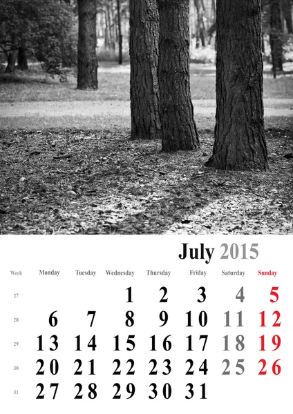 Calendrier 2015 juillet. édition arbres monochromes. forme internationale — Photo