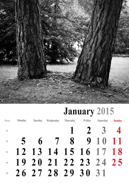 Kalendář leden 2015. monochromatický stromy vydání. Mezinárodní f — Stock fotografie