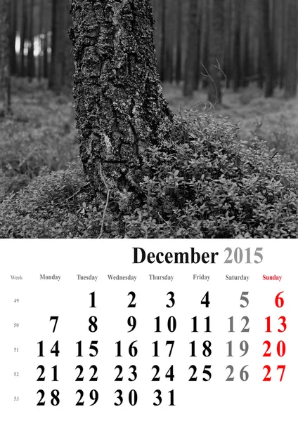 Kalendář prosinec 2015. monochromatický stromy vydání. Mezinárodní — Stock fotografie