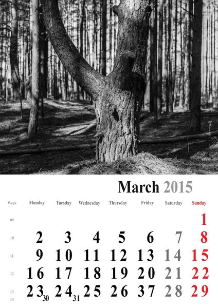 Kalendář 2015 březen. monochromatický stromy vydání. Mezinárodní pro — Stock fotografie