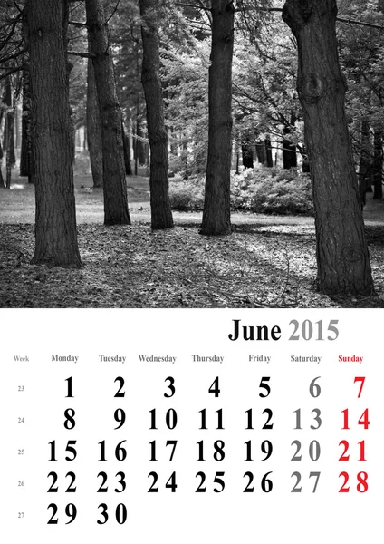 Kalendář 2015 červen. monochromatický stromy vydání. Mezinárodní formulář — Stock fotografie