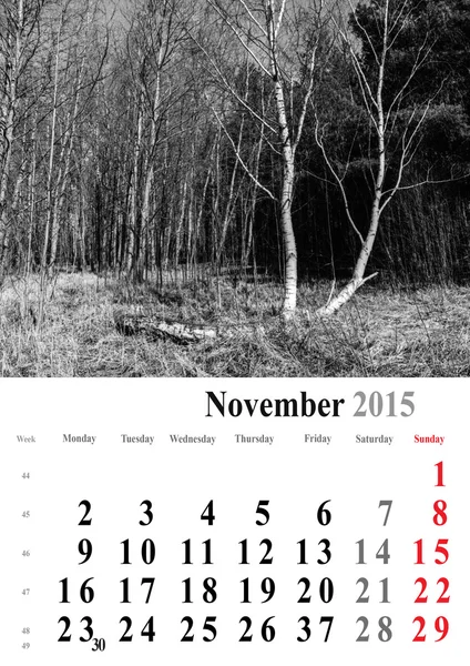 Calendrier 2015 novembre. édition arbres monochromes. international — Photo