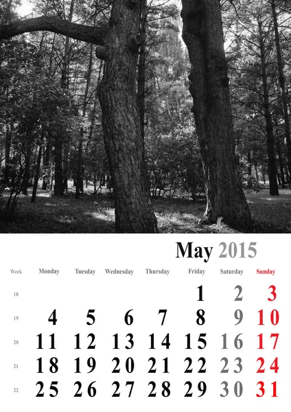Calendrier 2015 mai. édition arbres monochromes. forma international — Photo