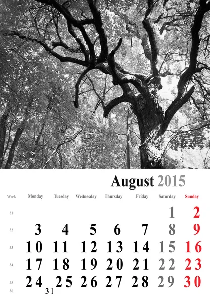 Calendrier 2015 août. édition arbres monochromes. international — Photo