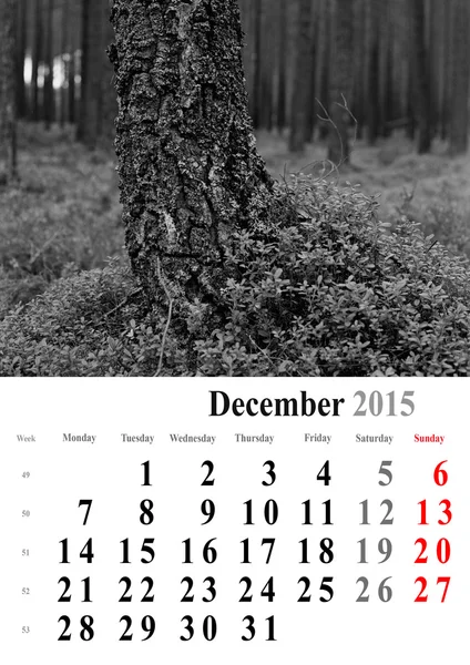 Calendrier 2015 décembre. édition arbres monochromes. international — Photo