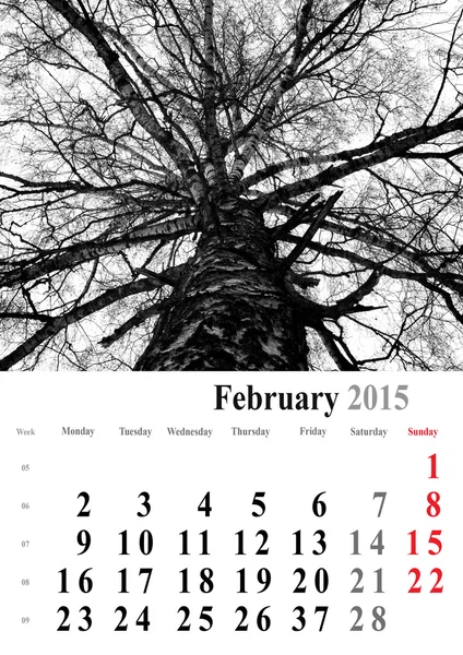 Kalender 2015-februari. monochroom bomen editie. internationale — Stockfoto