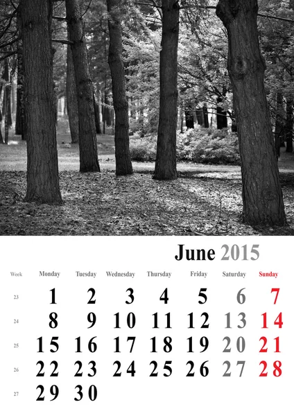 Kalendář 2015 červen. monochromatický stromy vydání. Mezinárodní formulář — Stock fotografie