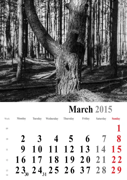 Calendrier 2015 mars. édition arbres monochromes. international pour — Photo