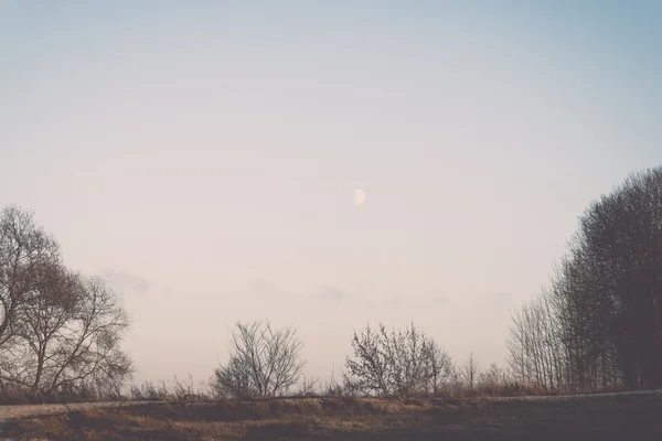 winter sunset with moon and plane trails in the sky. vintage