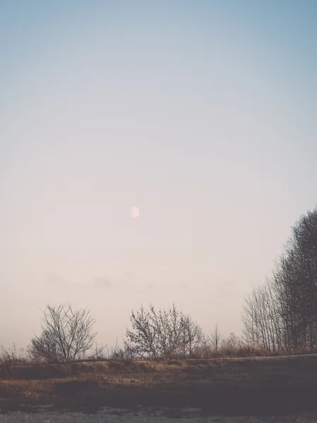 winter sunset with moon and plane trails in the sky. vintage