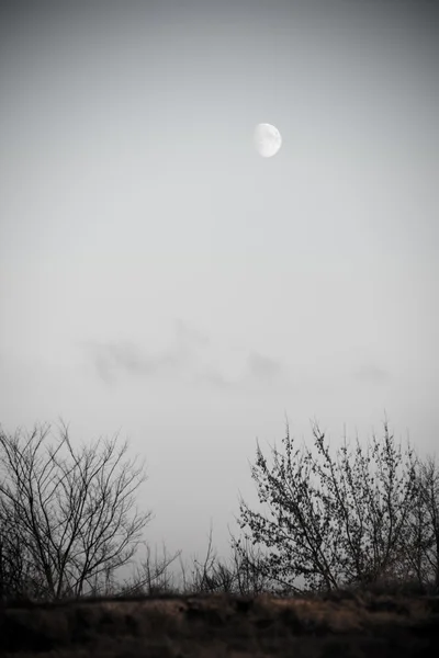 Tramonto invernale con luna e piste in aereo nel cielo. vintage — Foto Stock