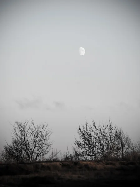 Tramonto invernale con luna e piste in aereo nel cielo. vintage — Foto Stock