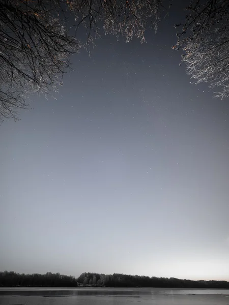 나무와 겨울 밤에 별 밤 하늘. 빈티지 — 스톡 사진