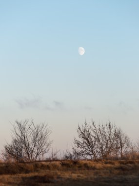 Gökyüzünde ay ve uçak yollar ile kış günbatımı