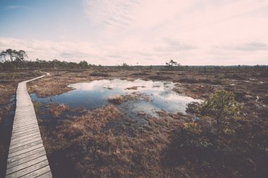 Görünüm ağaçlar ve boardwalk - bataklık retro, vintage