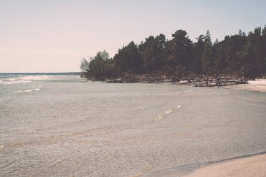 Baltık Denizi plaj kayalar ve eski ahşap - retro, vintage