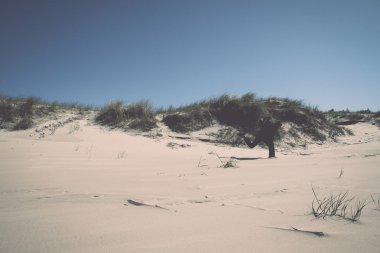 dunes içinde deniz - retro, vintage yürüyen adam
