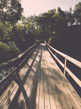 doğal ve güzel turizm iz ormanda nehir - yeniden