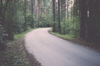 Biraz aydınlatılmış yolu ormandaki - retro, vintage