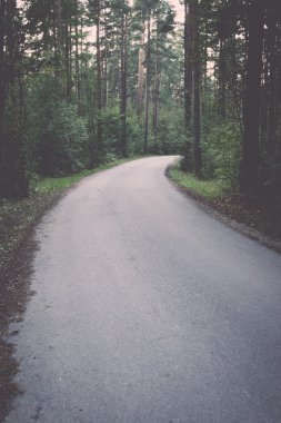 Biraz aydınlatılmış yolu ormandaki - retro, vintage