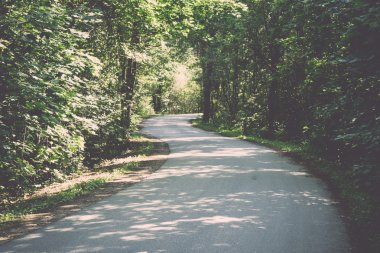 Biraz aydınlatılmış yolu ormandaki - retro, vintage