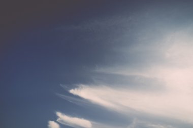 plaj manzarası ile su ve mavi gökyüzü - retro, vintage bitkiler.