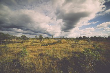 görünümü ile göl ve patika - bataklık retro, vintage