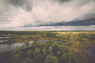 görünümü ile göl ve patika - bataklık retro, vintage