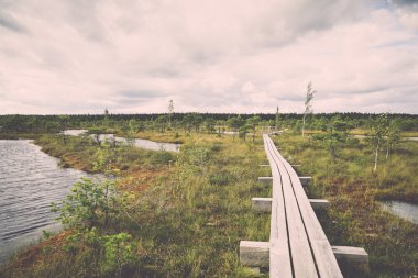 görünümü ile göl ve patika - bataklık retro, vintage