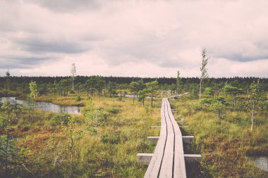 görünümü ile göl ve patika - bataklık retro, vintage
