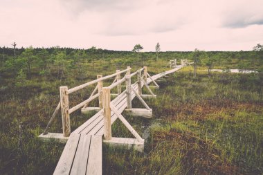 görünümü ile göl ve patika - bataklık retro, vintage