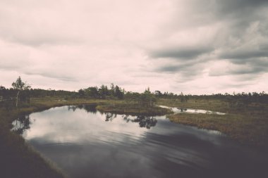 görünümü ile göl ve patika - bataklık retro, vintage