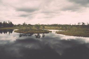 görünümü ile göl ve patika - bataklık retro, vintage