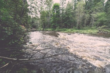 Dağ nehre Flowing su akışı ve sandsto ile göster