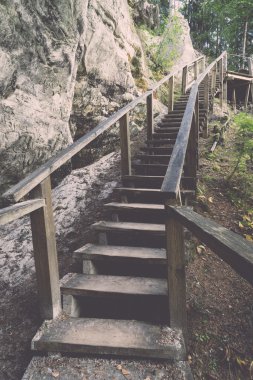 doğal ve güzel turizm iz ormanda nehir - yeniden