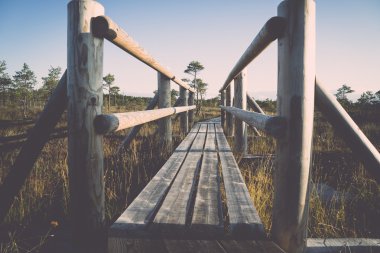 ahşap patika üzerinde bataklık - retro, vintage