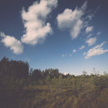 sabah gökyüzü bulutlu - retro, altında vintage manzara
