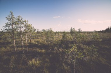 sabah gökyüzü bulutlu - retro, altında vintage manzara