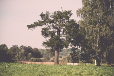 ülkenin peyzaj alanları ve mavi gökyüzü - retro, vintage
